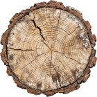 Oak Timber Logs